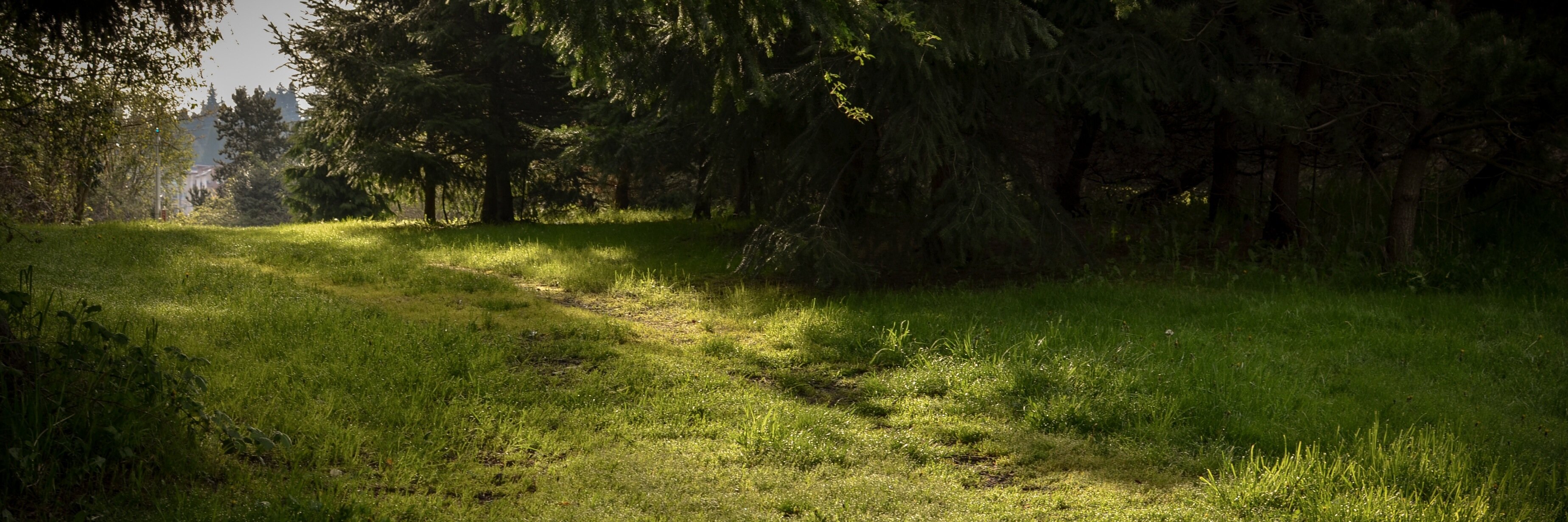 michellejw's profile banner image
