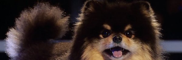Gozilla_Yeontan Profile Banner