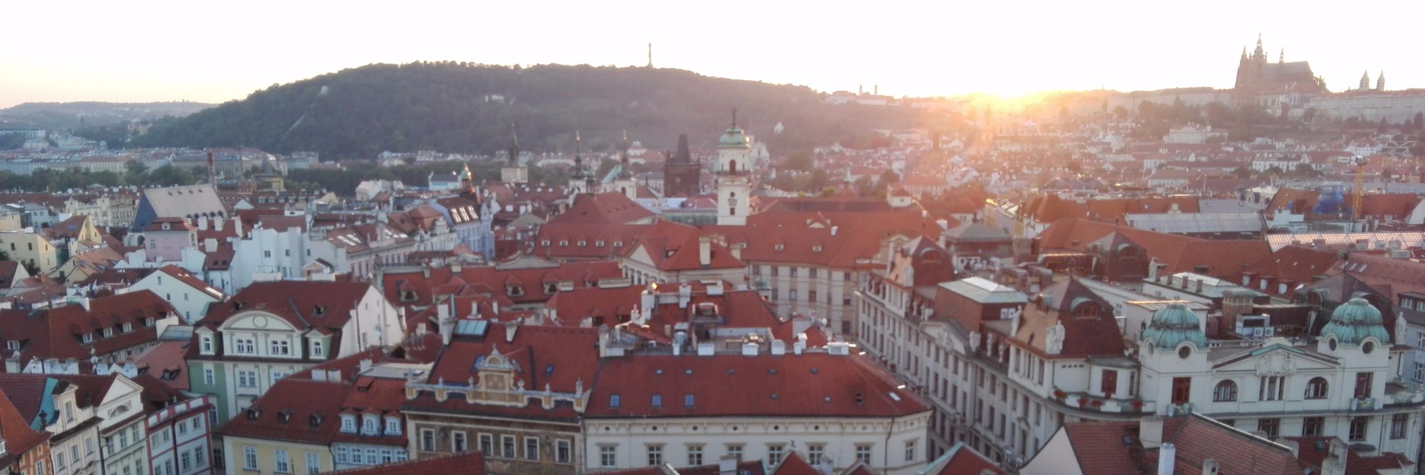 David 🦁🌽🇪🇦🇪🇺 banner