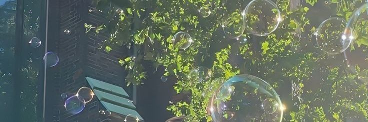 ari's banner