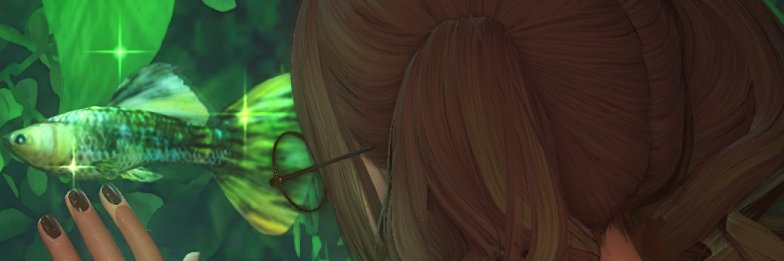 nilboggle 🌱's banner