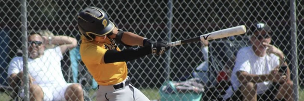 Gino Spigarelli 2028 GPA: 4.13 banner