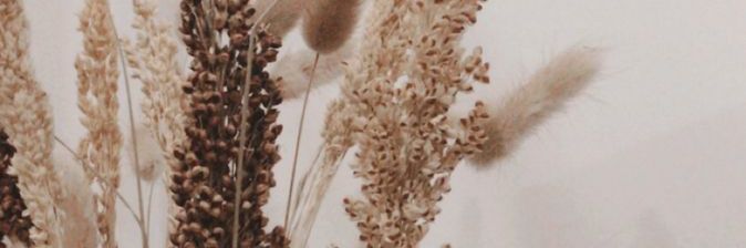 queen_ofsnow's profile banner image