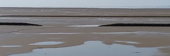 Nonamesnobodies's profile banner image