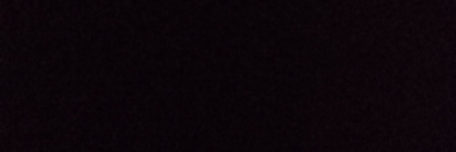 parapendusta's profile banner image