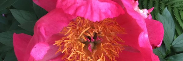 LOkeefe91222 Profile Banner