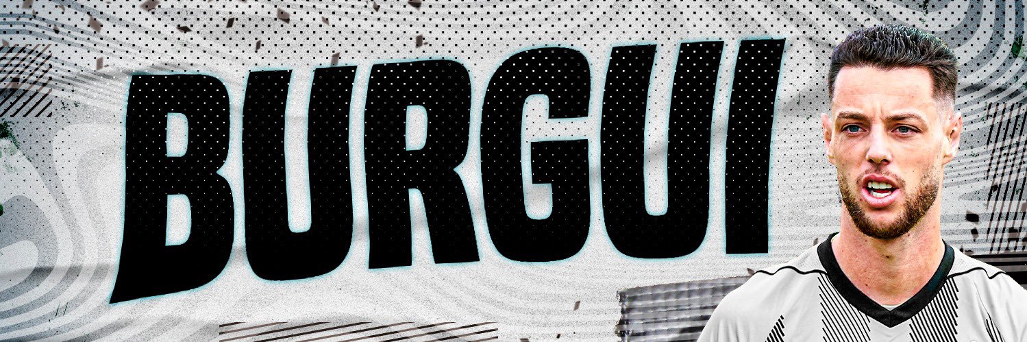Burgui banner