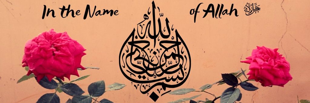 piouspilot's profile banner image