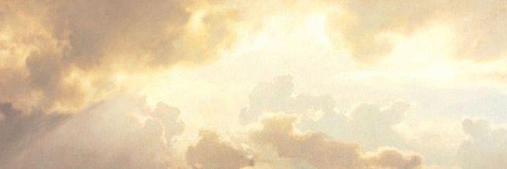 willowinren's profile banner image