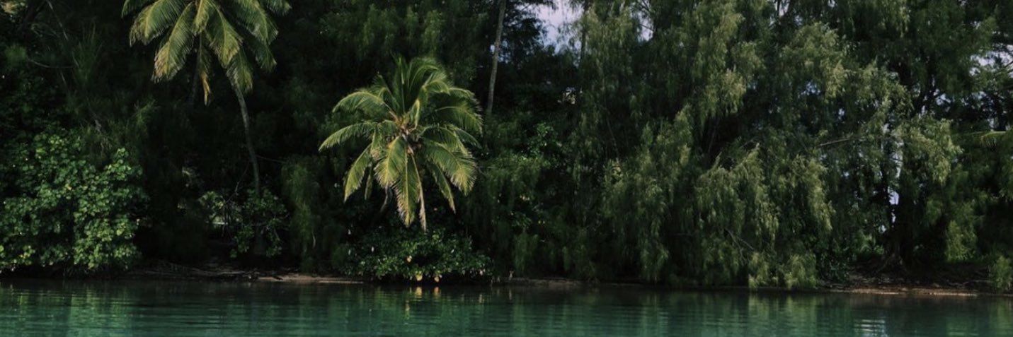 Chaantyh's profile banner image