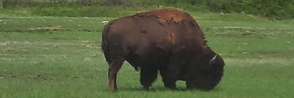 ClassAwitchToo Profile Banner