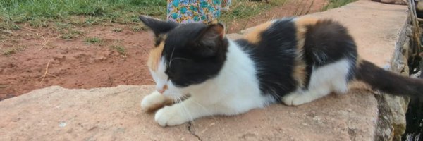 inanaghaswords Profile Banner