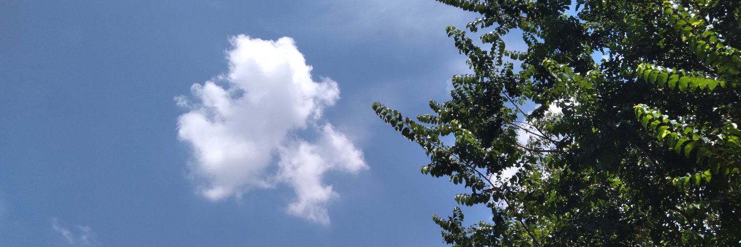 IsMariangela's profile banner image