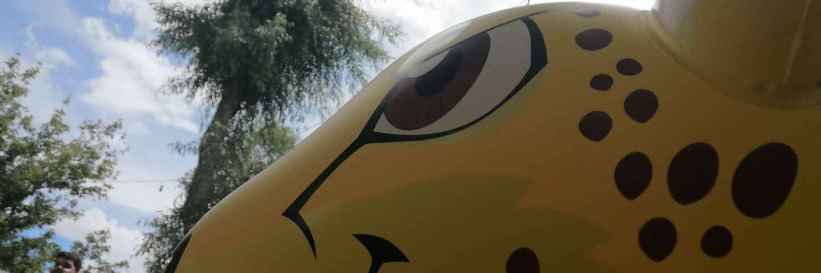 BlueLightning_6's profile banner image