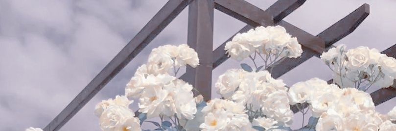 WaterM7715's profile banner image