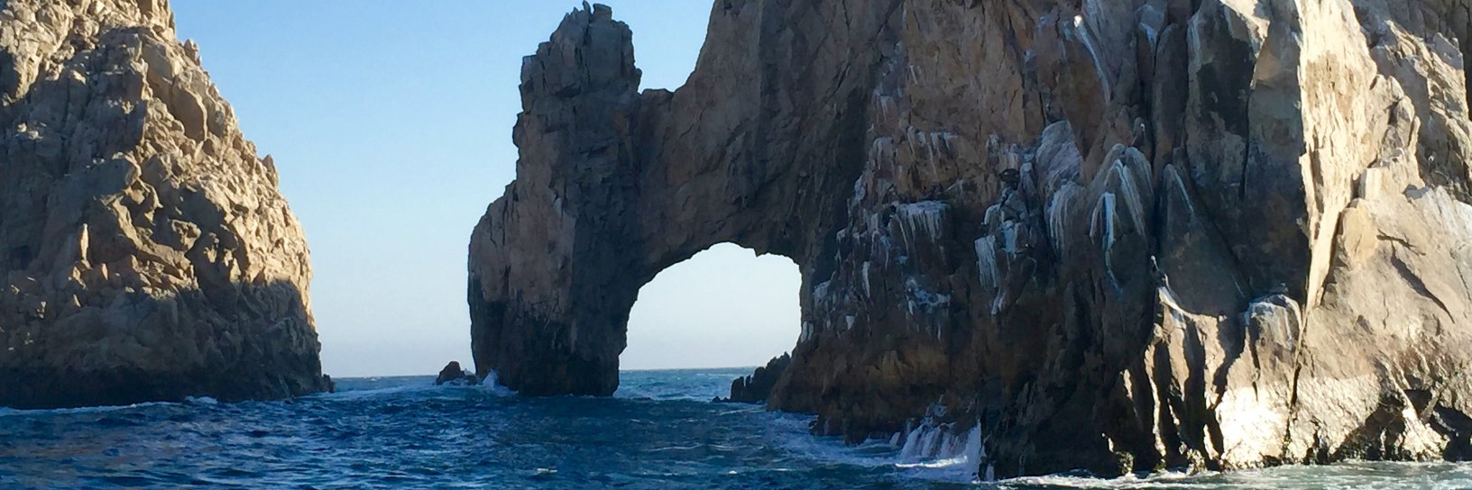 Kelsey McManus banner