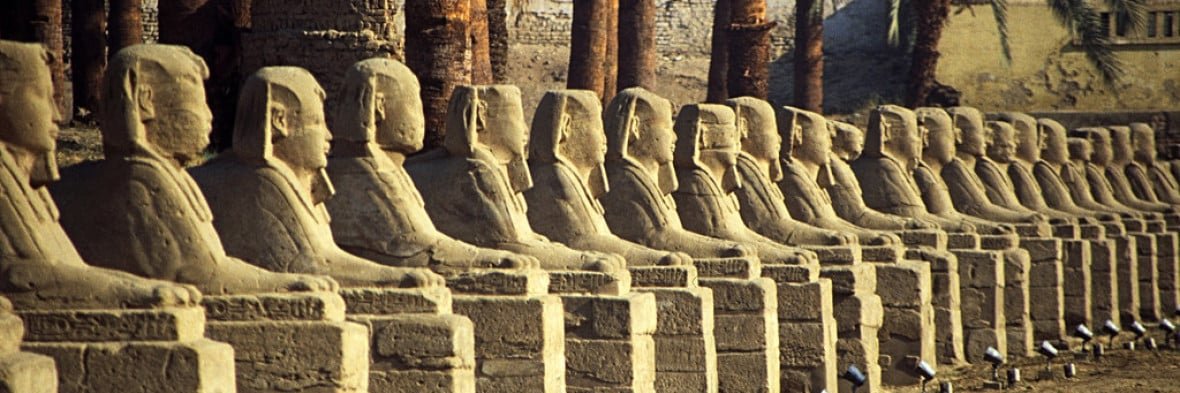 Daniel Lopez Sainz banner