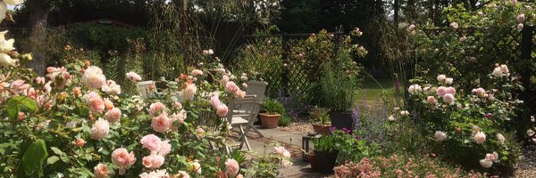 chrisaruth Profile Banner