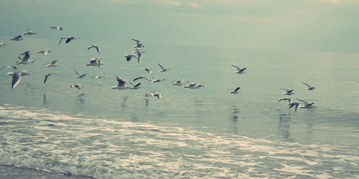 therightdoor's profile banner image