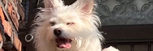 akdltjd's profile banner image