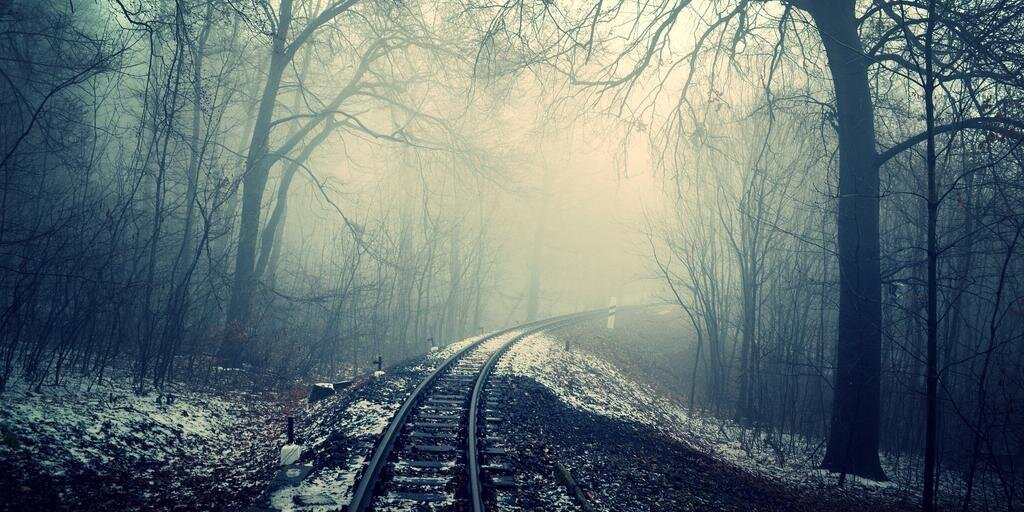 Aaron Bernstein banner