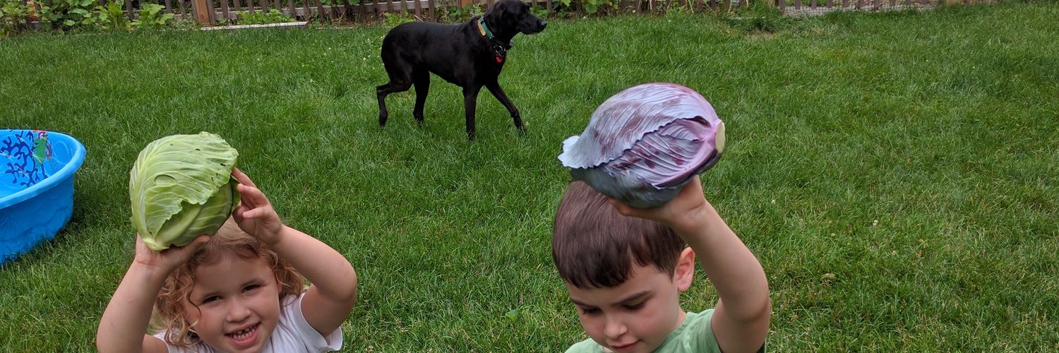 Brian Tomasette banner