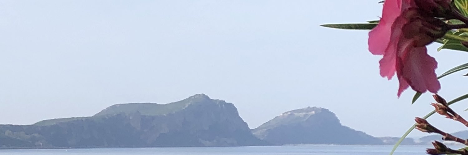 Lisa banner