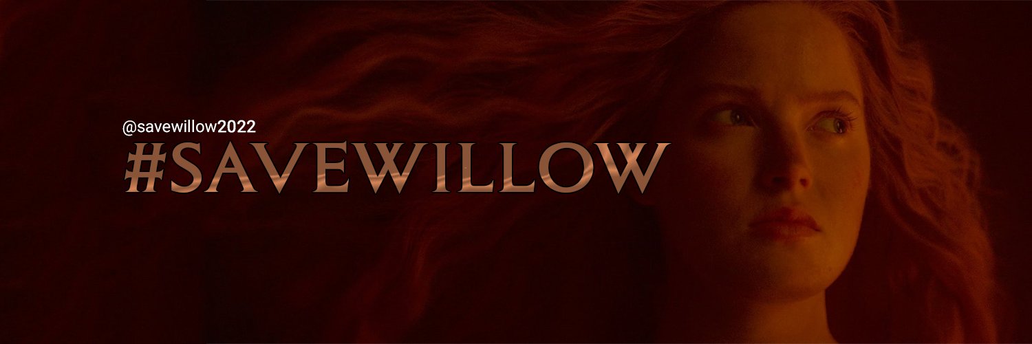 SaveWillow banner