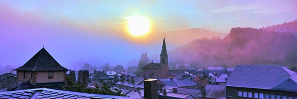 Olive760616 Profile Banner