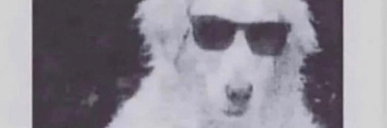 MichaelKepple's profile banner image