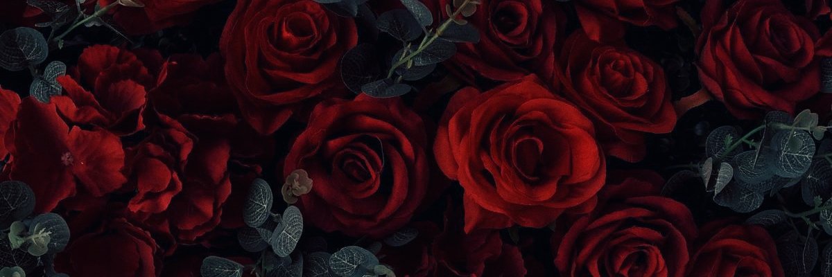 🌹🌙 𝕸𝖆𝖏𝖊𝖘𝖙𝖎𝖈𝕸𝖔𝖔𝖓𝕰𝖞𝖊🌙🌹 banner