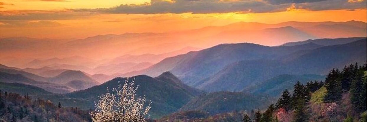h_laughter's profile banner image