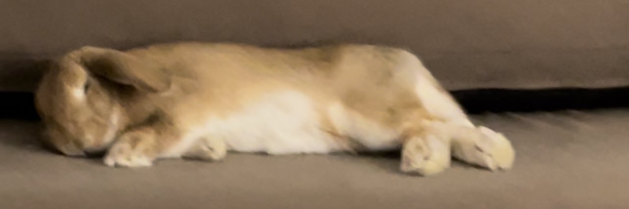 binfirenation's profile banner image