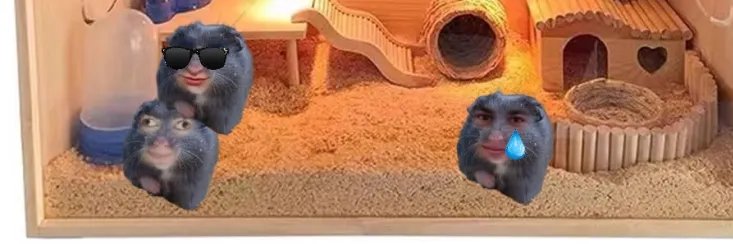 SSolmyr ⚡⚡ banner