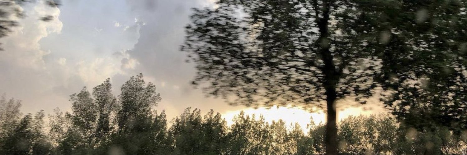 M_hq91's profile banner image