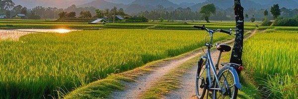 RADHE__RANI911 Profile Banner