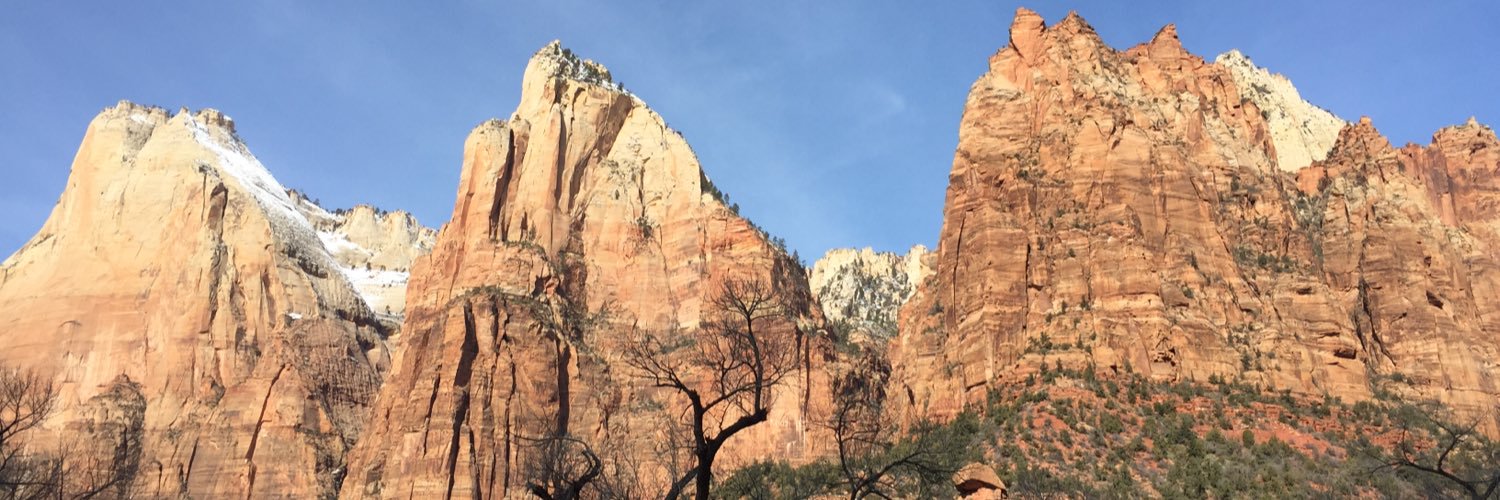 melissastehr's profile banner image