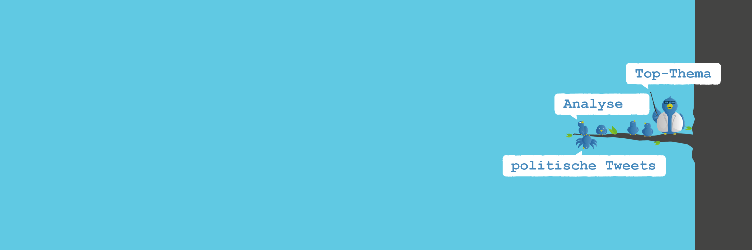 politwi banner