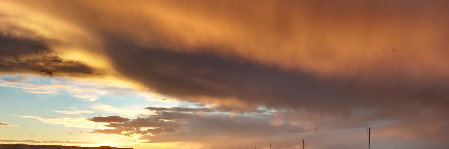 Cappylara's profile banner image