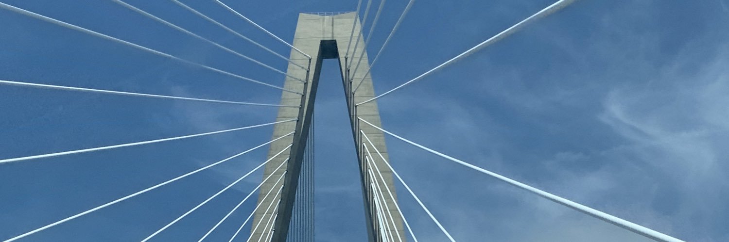 Dr. Danielle Hamilton banner