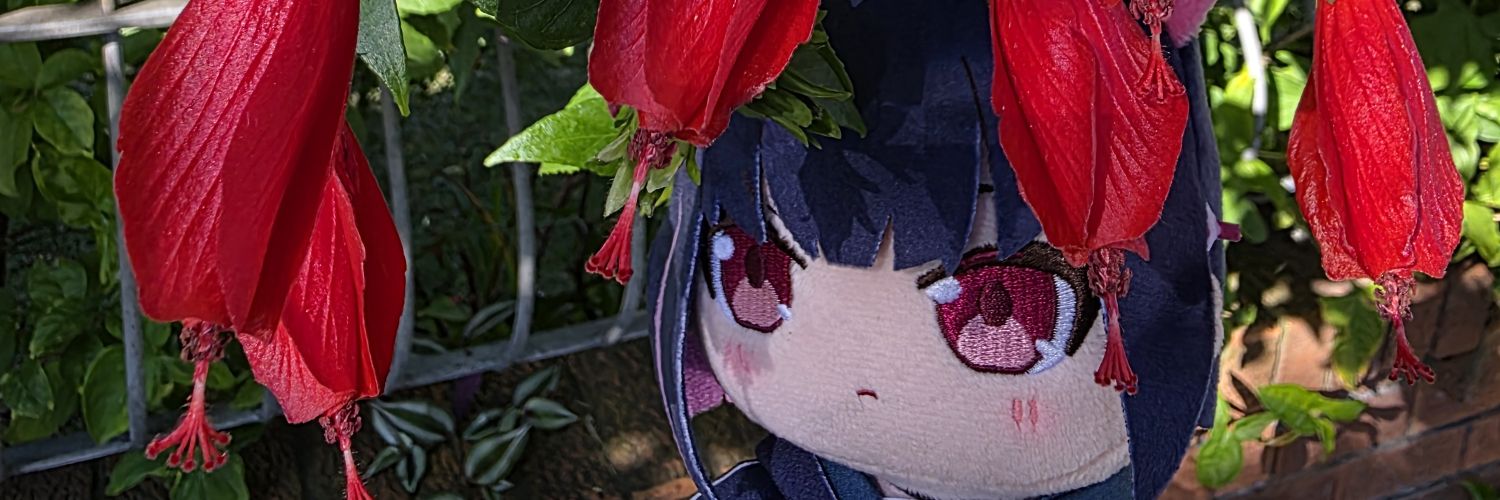 Remunene's banner