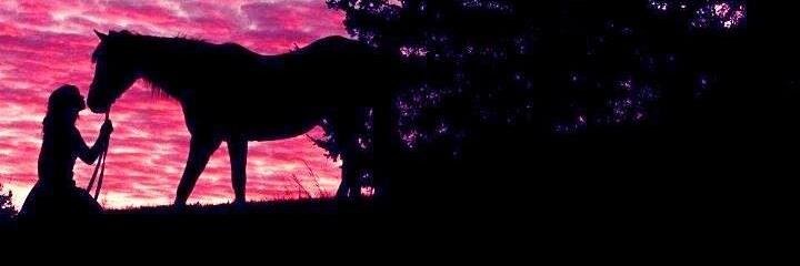 HollyMac84's profile banner image
