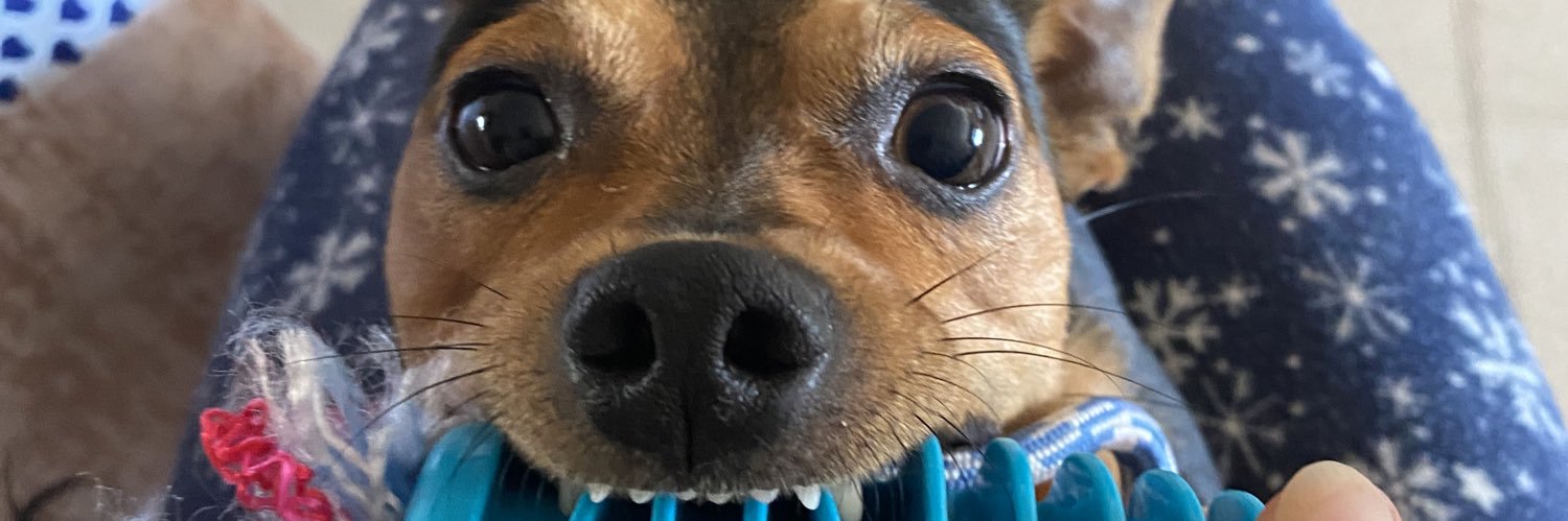 nereaschezz's profile banner image