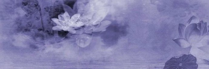 toldmeitwaswar's profile banner image