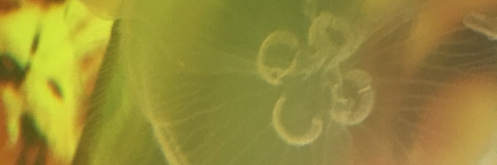 monochromer_9's profile banner image