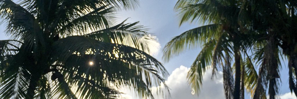 Paula Spencer-Hidalgo banner