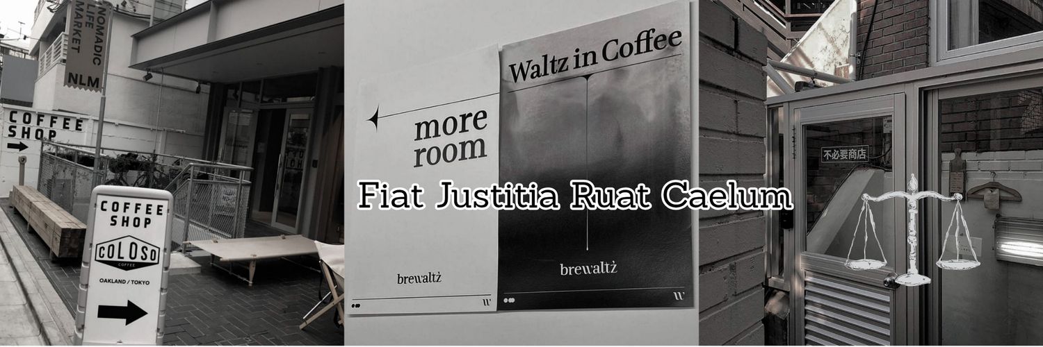 ZED. 3000+ TESTI banner