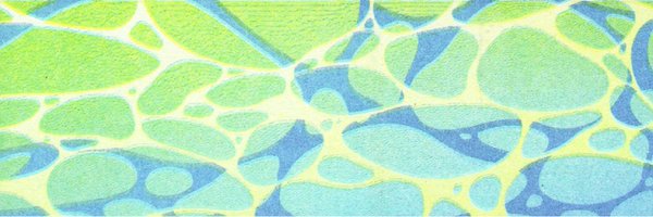 pecopicopeko Profile Banner