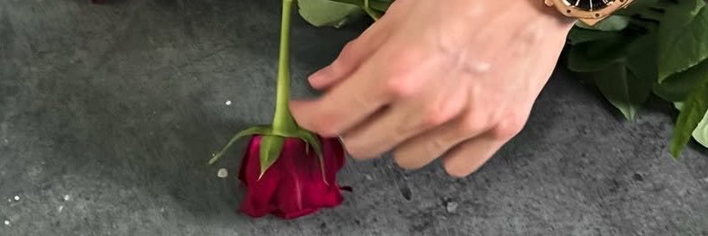 dunkismybigbear's profile banner image