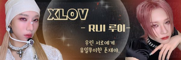 rui_sTING Profile Banner